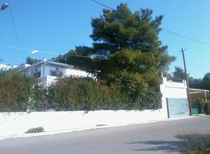 Μονοκατοικία, Στενό