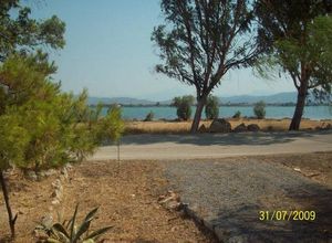 Detached House, Avlida