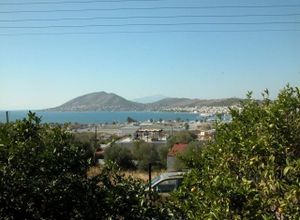 Μονοκατοικία, Αιάντειο