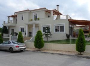 Maisonette, Oropos