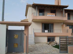Maisonette, Oropos