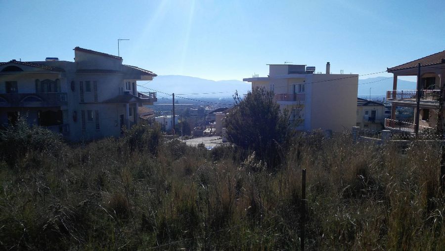 Photo 100163528