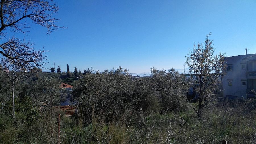 Photo 100163546