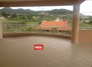 Συγκρότημα προς πώληση Άγιος Ανδρέας (Ελευθερές) 800 τ.μ. 12 Υπνοδωμάτια Νεόδμητο