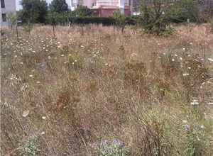 Οικόπεδο προς πώληση Βασιλικά 650 τ.μ.