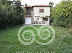 Μονοκατοικία προς πώληση Φτερωτή (Σιθωνία) 120 τ.μ. 4 Υπνοδωμάτια