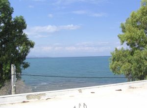 Διαμέρισμα προς πώληση Έξω Παναγίτσα (Χαλκίδα) 136 τ.μ. 3 Υπνοδωμάτια