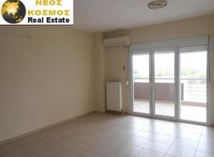 Studio/Γκαρσονιέρα για ενοικίαση Εχέδωρος Διαβατά 50 τ.μ. 1 Υπνοδωμάτιο Νεόδμητο