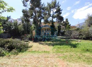 Detached House, Center