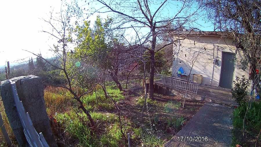 Photo 103800344