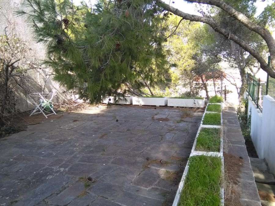 Photo 103977362