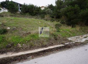 Land Plot, Politeia