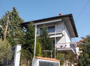 Μονοκατοικία προς πώληση Πεύκα Δελασάλ 340 τ.μ. 5 Υπνοδωμάτια Νεόδμητο