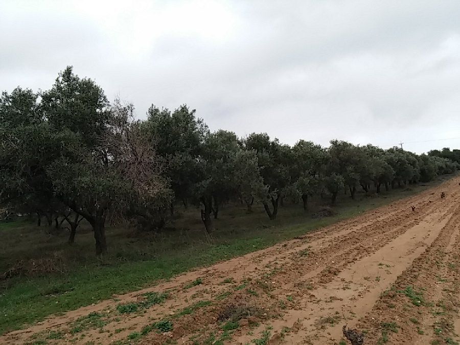 Photo 106600541