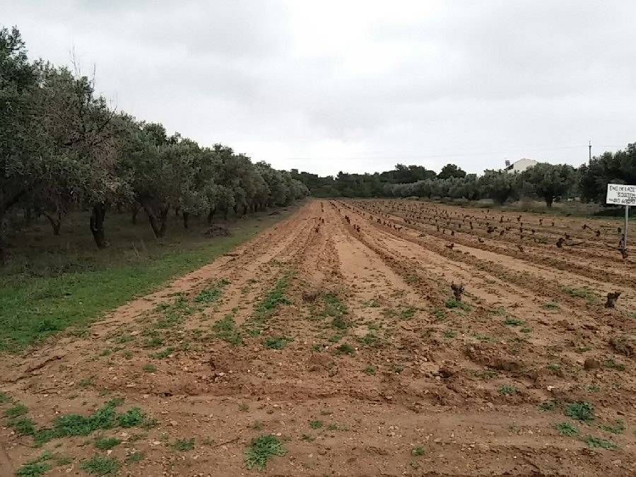 Photo 106600601