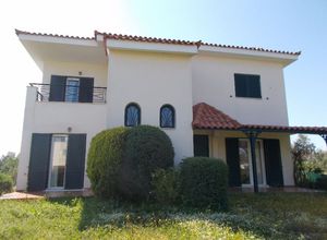 Μονοκατοικία προς πώληση Άγιος Μηνάς (Ανθηδώνος) 110 τ.μ. 2 Υπνοδωμάτια