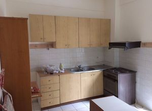 Studio Flat, Triandria