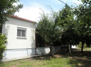 Μονοκατοικία προς πώληση Κάτω Λεχώνια (Αρτέμιδα) 100 τ.μ. 4 Υπνοδωμάτια
