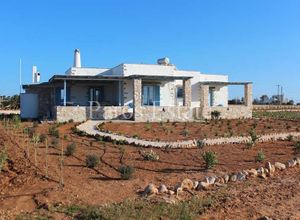 Μονοκατοικία προς πώληση Πούντα (Πάρος) 123 τ.μ. 3 Υπνοδωμάτια
