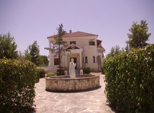 Διαμέρισμα προς πώληση Περιοχη χώρας 316 τ.μ. 6 Υπνοδωμάτια