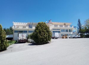 Κτίριο επαγγελματικών χώρων προς πώληση Κέντρο (Κοζάνη) 1.150 τ.μ.