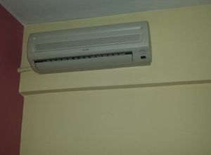 Photo 113128784