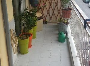 Photo 113128907