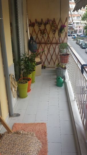 Photo 113128907