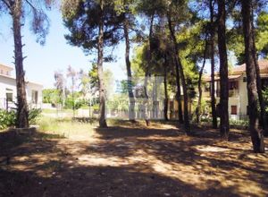 Detached House for sale Agios Stefanos Kapitenia 344 m<sup>2</sup> 3 Bedrooms