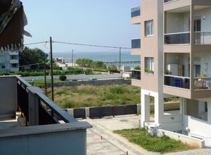 Μεζονέτα, Αγία Τριάδα