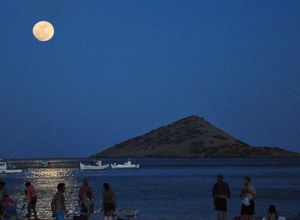 Διαμέρισμα για ενοικίαση Μαρκόπουλο Πόρτο Ράφτη 35 τ.μ. 1 Υπνοδωμάτιο