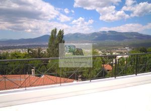 Μονοκατοικία για ενοικίαση Κηφισιά Πολιτεία 450 τ.μ. 4 Υπνοδωμάτια Νεόδμητο