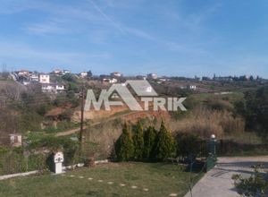 Μονοκατοικία για ενοικίαση Θερμαϊκός Αγία Τριάδα 250 τ.μ. 4 Υπνοδωμάτια
