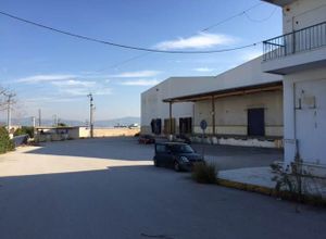 Sale, Industrial space, Mandra (Rest of Attica)