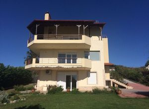 Διαμέρισμα προς πώληση Νέοι Επιβάτες (Θερμαϊκός) 570 τ.μ. 9 Υπνοδωμάτια