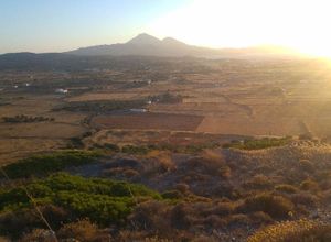 Land Plot, Zefiria