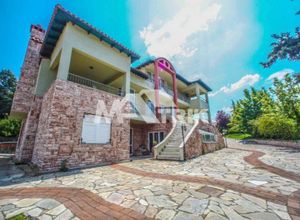 Detached House, Pournari