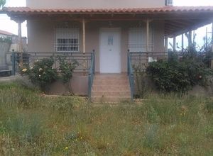 Διαμέρισμα για ενοικίαση Κόρινθος Άγιος Δημήτριος 90 τ.μ. 3 Υπνοδωμάτια