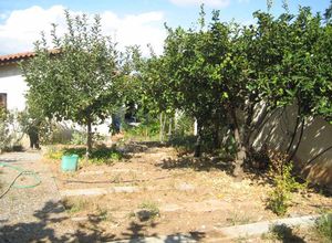 Οικόπεδο προς πώληση Άλιμος 620 τ.μ.