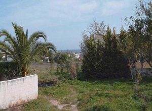 Οικόπεδο για ενοικίαση Αρτέμιδα (Λούτσα) 1.370 τ.μ.