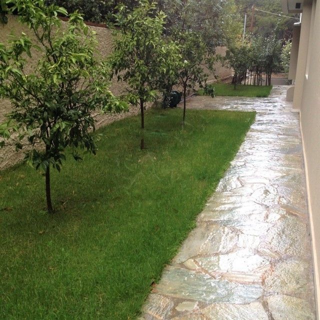 Photo 119767091