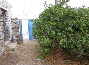 Μονοκατοικία προς πώληση Βίβλος (Νάξος) 65 τ.μ. 1 Υπνοδωμάτιο