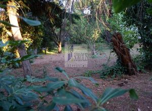 Land Plot for sale Ekali 900 m<sup>2</sup>