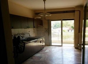 Apartment, Ntepo