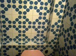 Photo 121255319