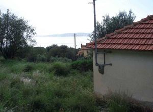 Μονοκατοικία προς πώληση Αργοστόλι (Κεφαλονιά) 700 τ.μ. 1 Υπνοδωμάτιο