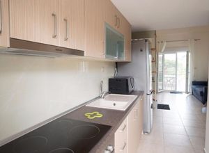 Studio/Γκαρσονιέρα, Νικήτη