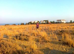 Οικόπεδο προς πώληση Αφάντου (Ρόδος) 2.840 τ.μ.