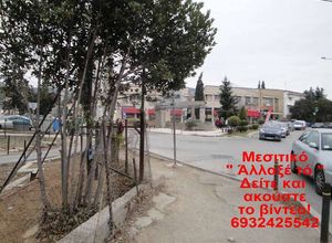 Οικόπεδο, Κέντρο