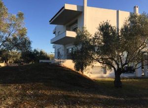 Βίλλα προς πώληση Δροσιά (Ανθηδώνος) 300 τ.μ. 4 Υπνοδωμάτια Νεόδμητο